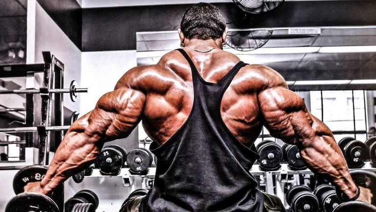 Battle Tested Biceps Training - Training - RxBodybuilders.com