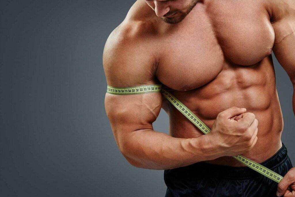 how can i increase muscle cell volume