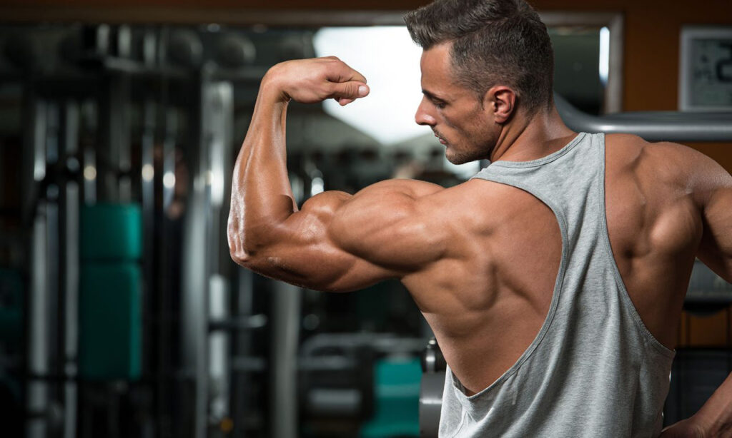 superset mastery biceps & triceps unleashed
