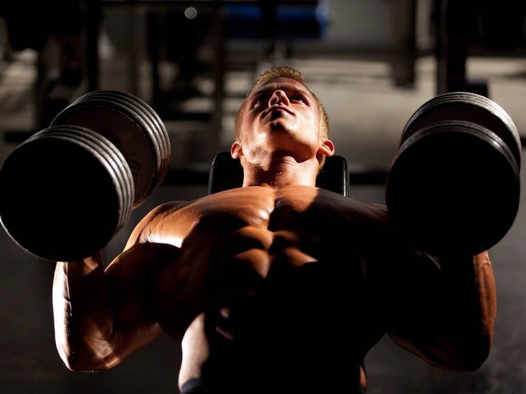 the importance of discipline and focus for bodybuilding training